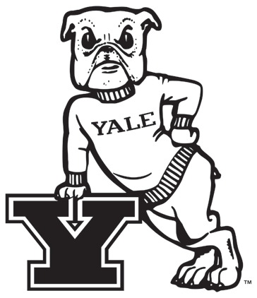 Yale Bulldogs 1972-1997 Primary Logo iron on transfers for T-shirts